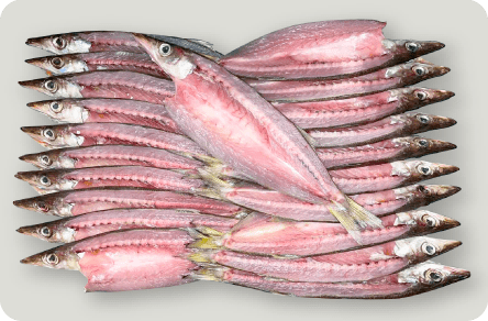 近海魚の干物各種