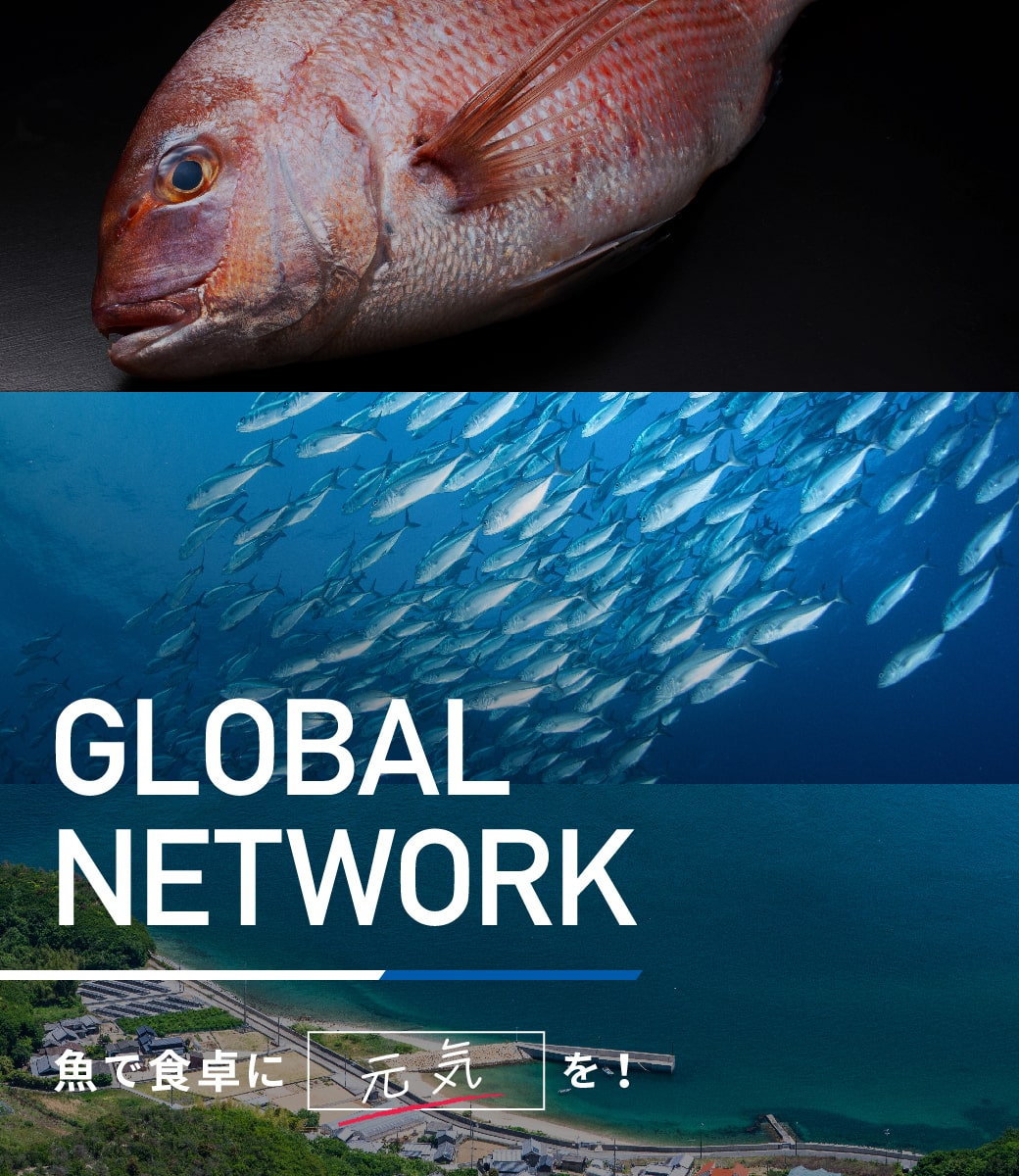 Global Network 魚で食卓に元気を